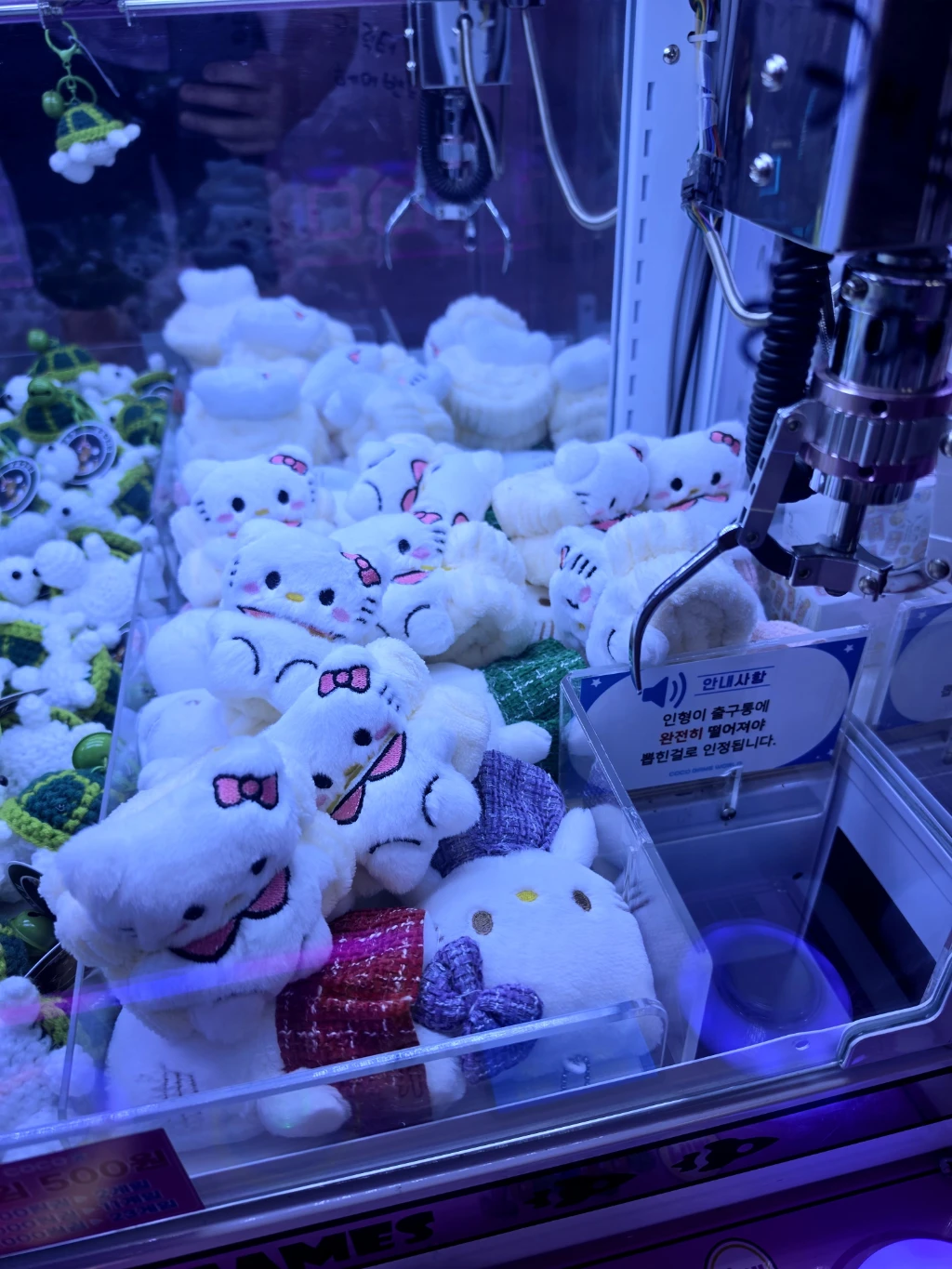 코코 불당점 매장 사진