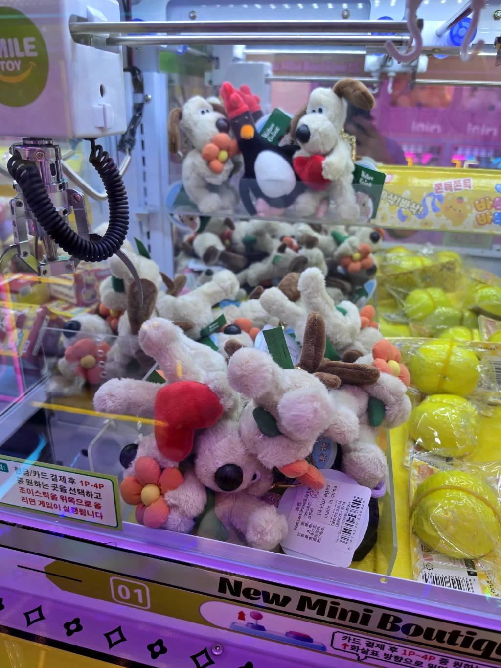 와와와 매장 사진