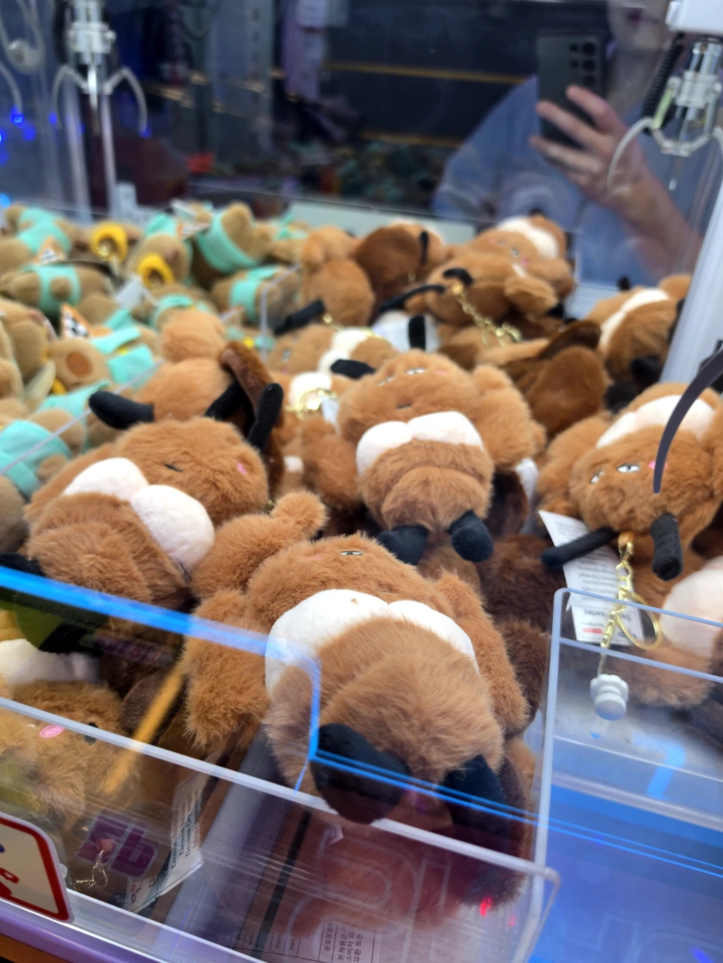 왕오락실 매장 사진