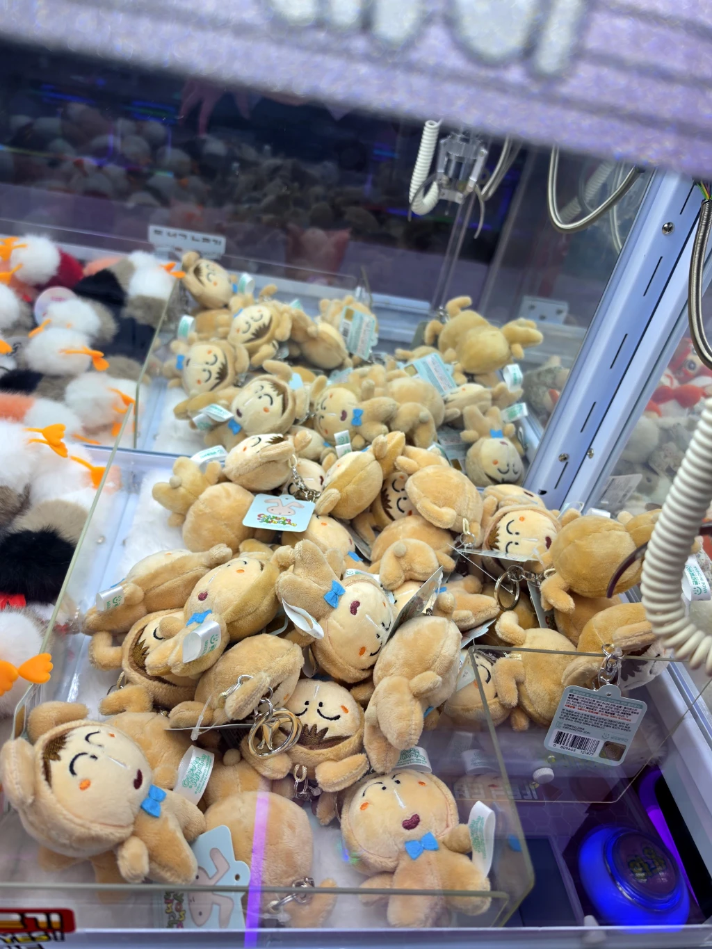 탑인형뽑기 매장 사진