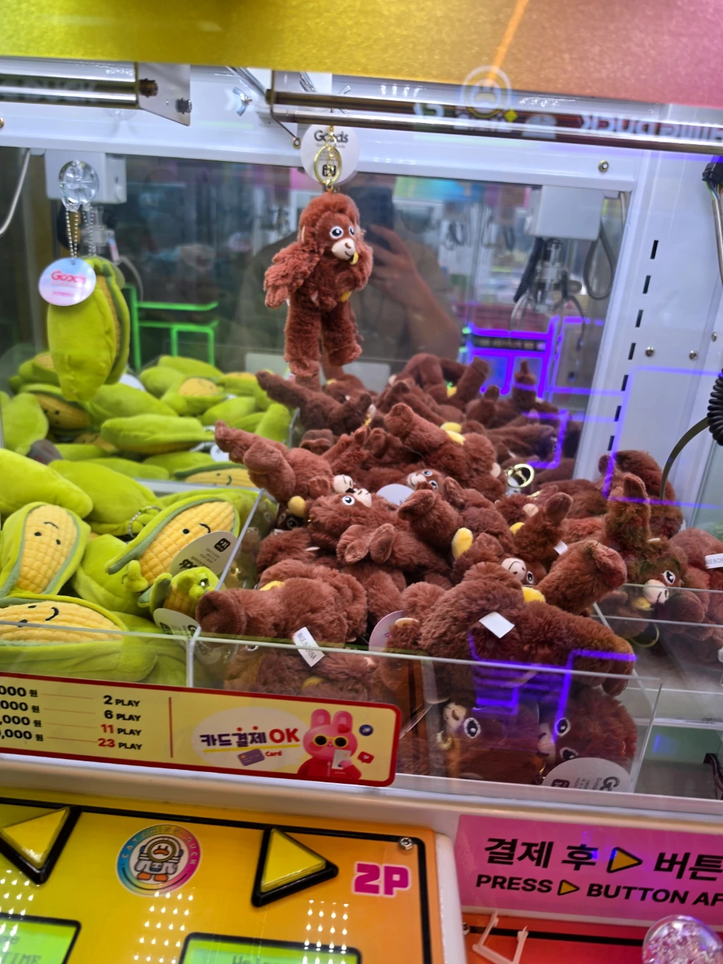캐칭덕 매장 사진