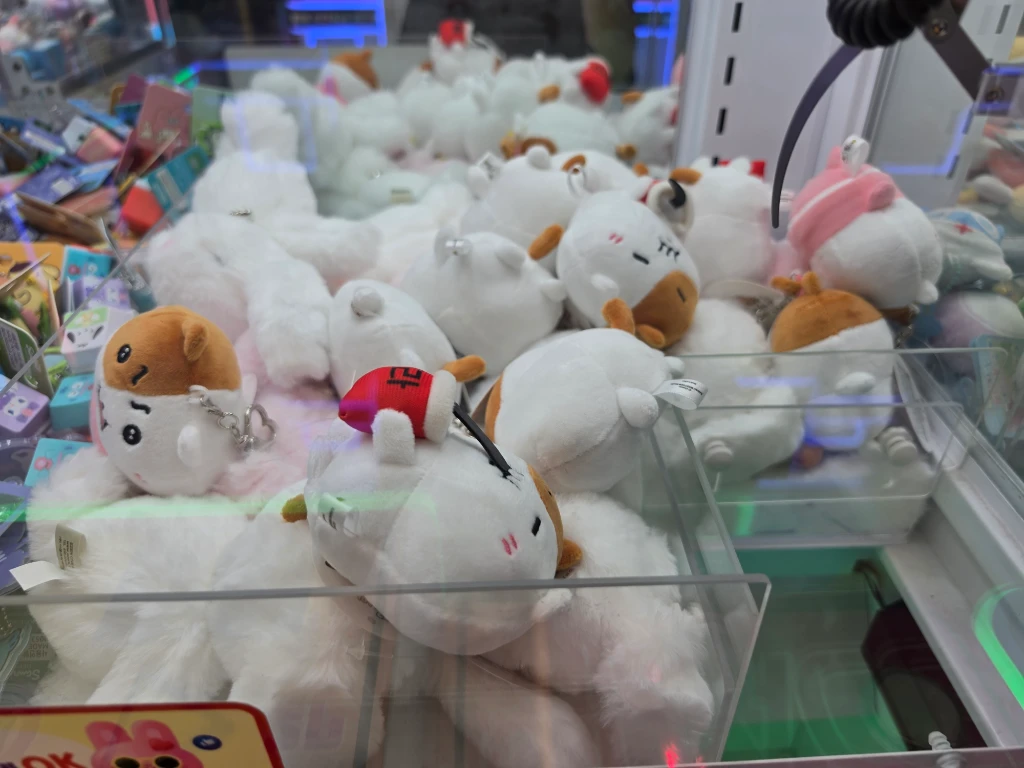 캐칭덕 매장 사진
