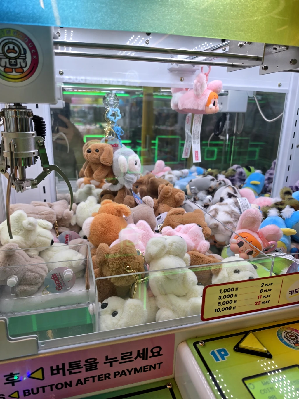 캐칭덕 매장 사진