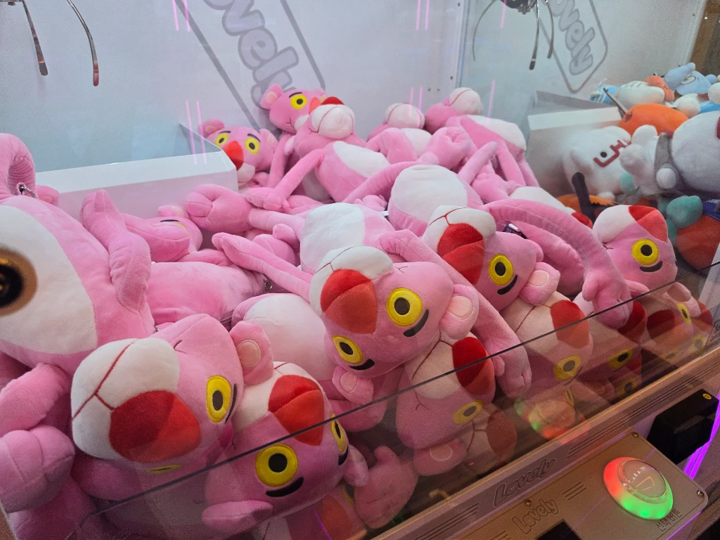 엔조이 매장 사진