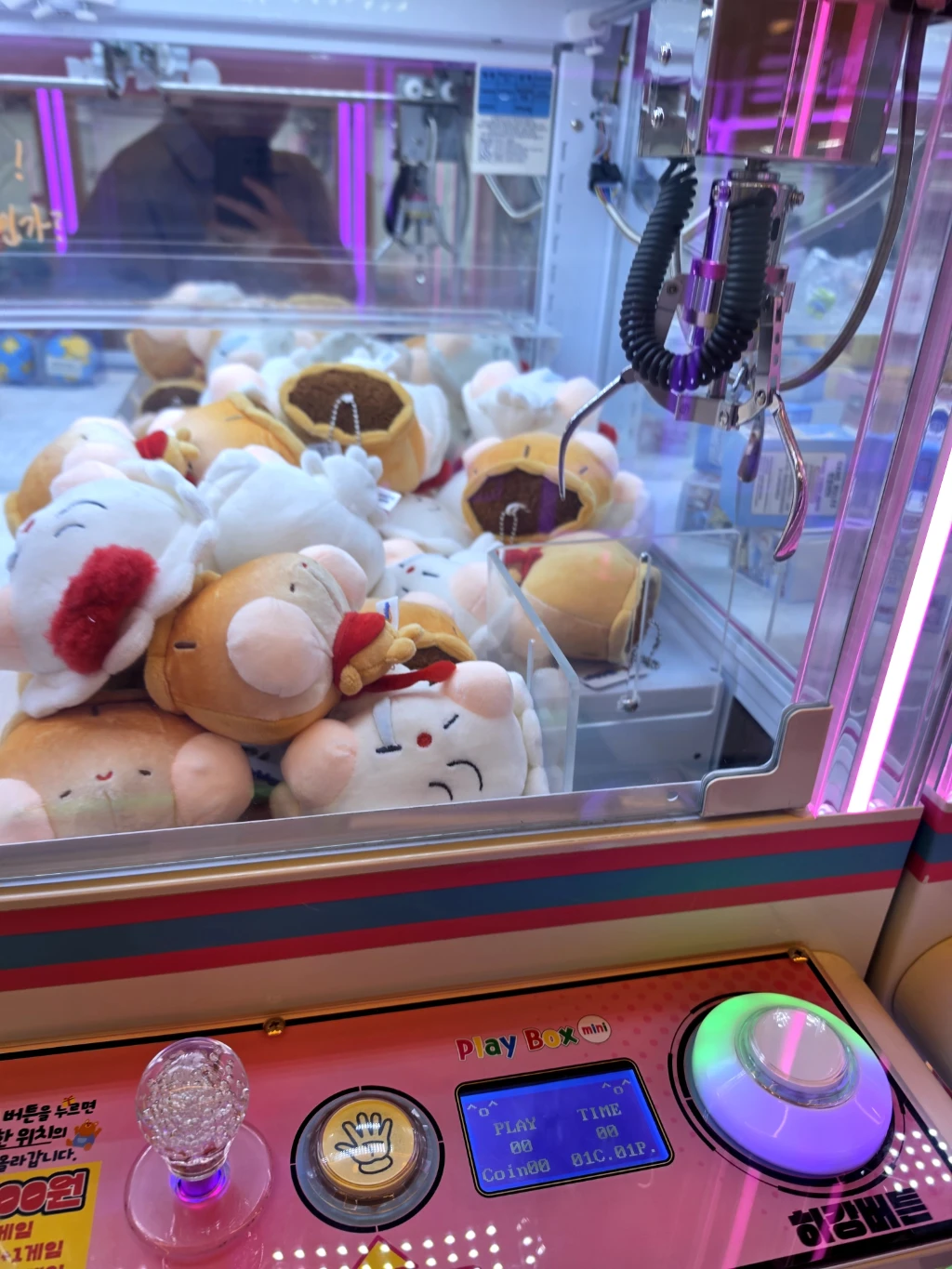 엔조이 매장 사진