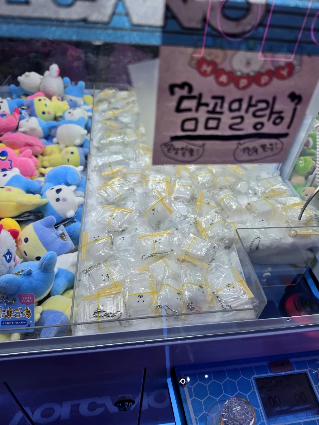모모랜드 매장 사진