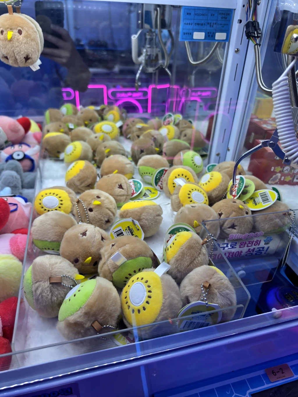 모모랜드 매장 사진