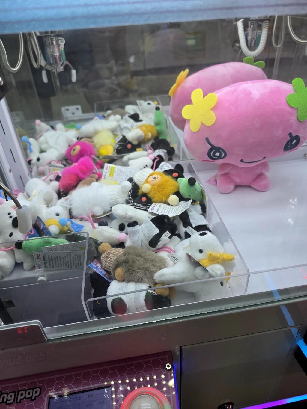 뽀끼팡팡 매장 사진