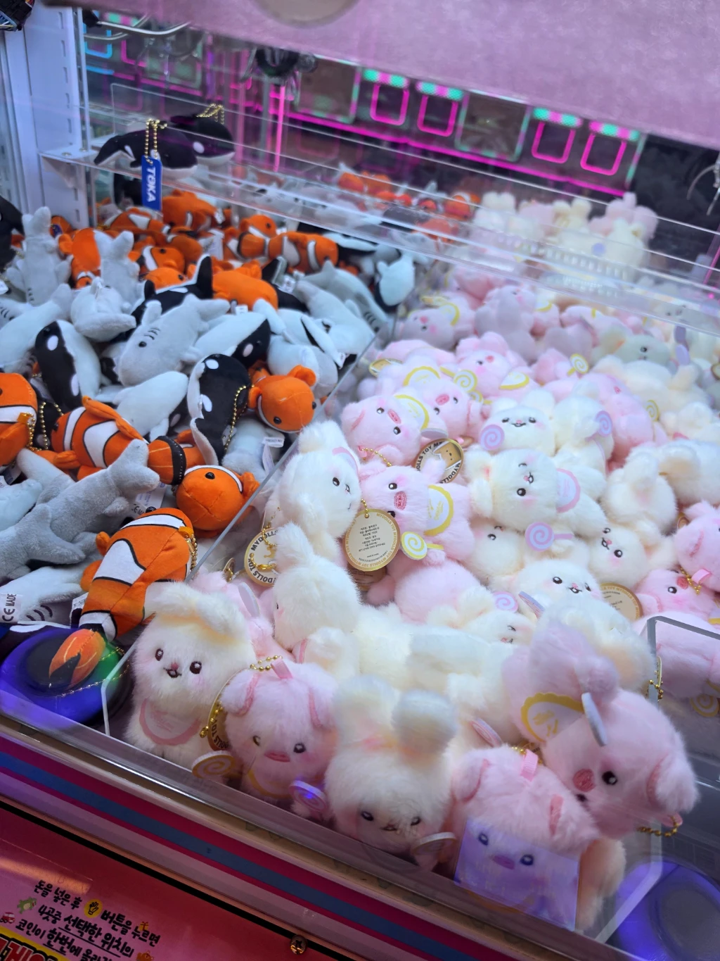 엔조이 매장 사진