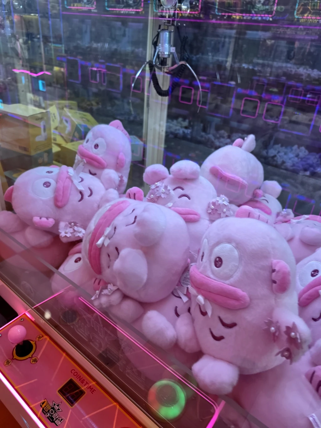 대빵인형뽑기 매장 사진
