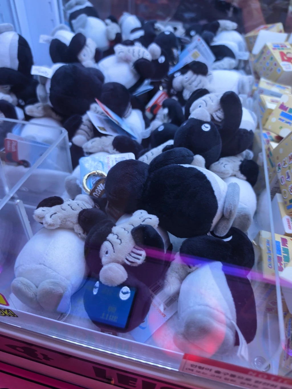 대빵인형뽑기 매장 사진