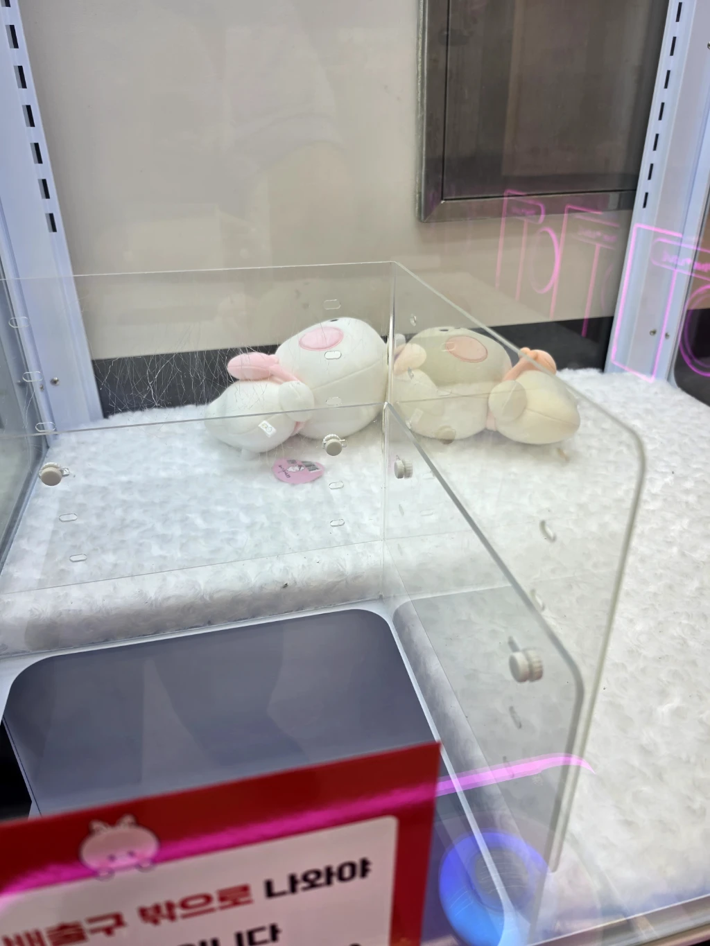 조이픽 매장 사진