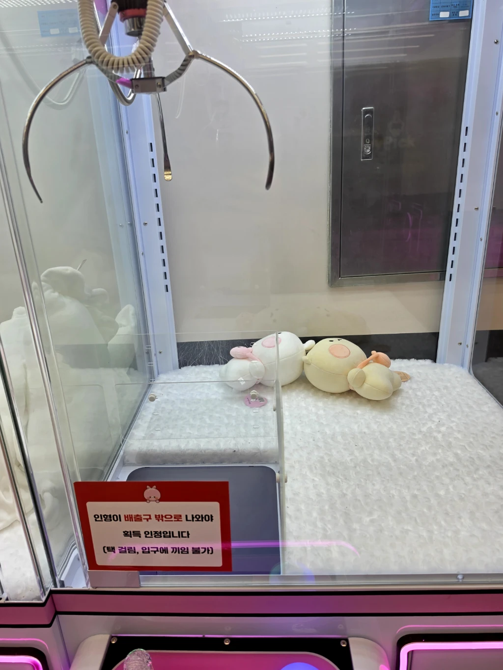 조이픽 매장 사진