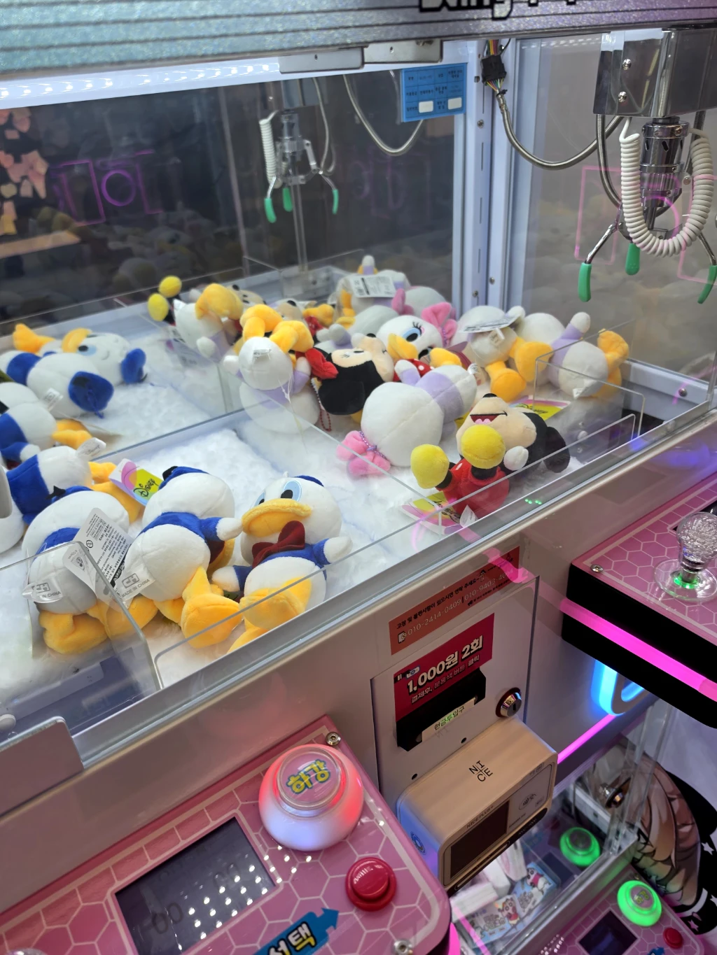조이픽 매장 사진