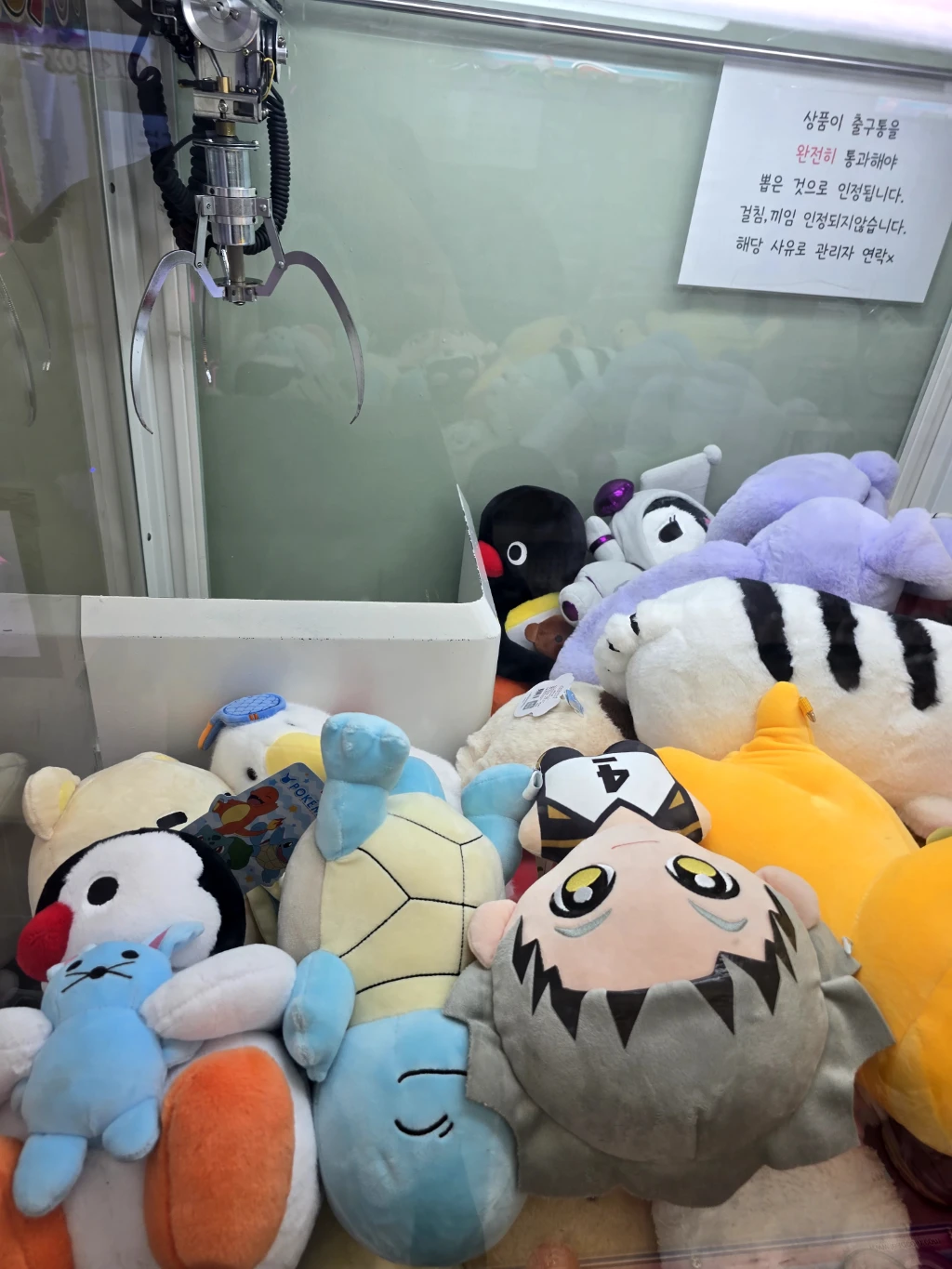서키뽀끼 사용자 등록 사진