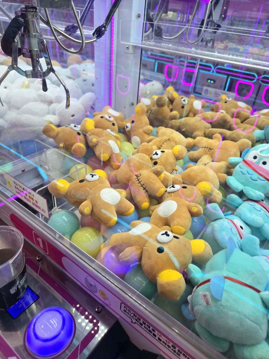 그랩붐 사용자 등록 사진