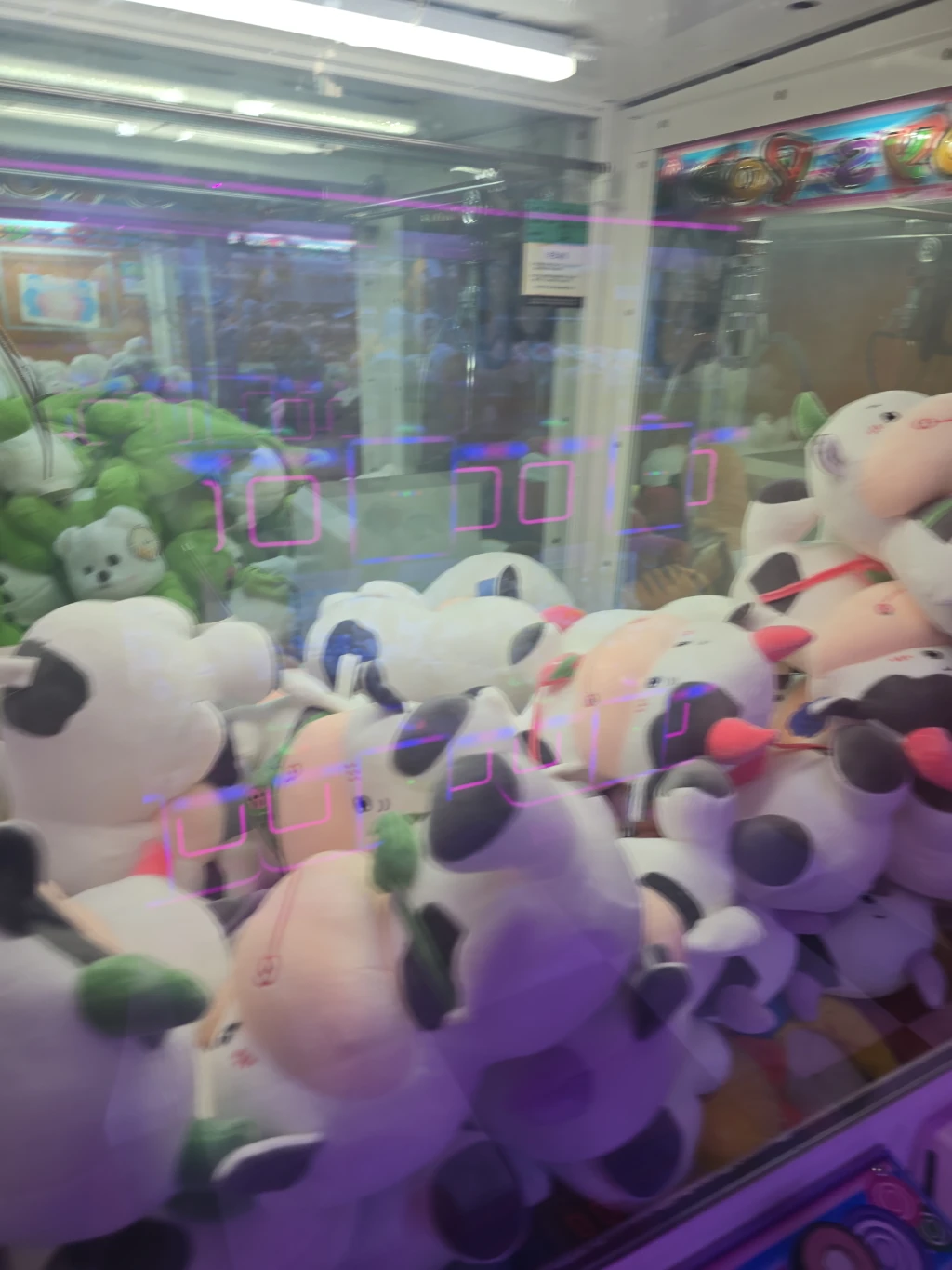 오락킹 사용자 등록 사진