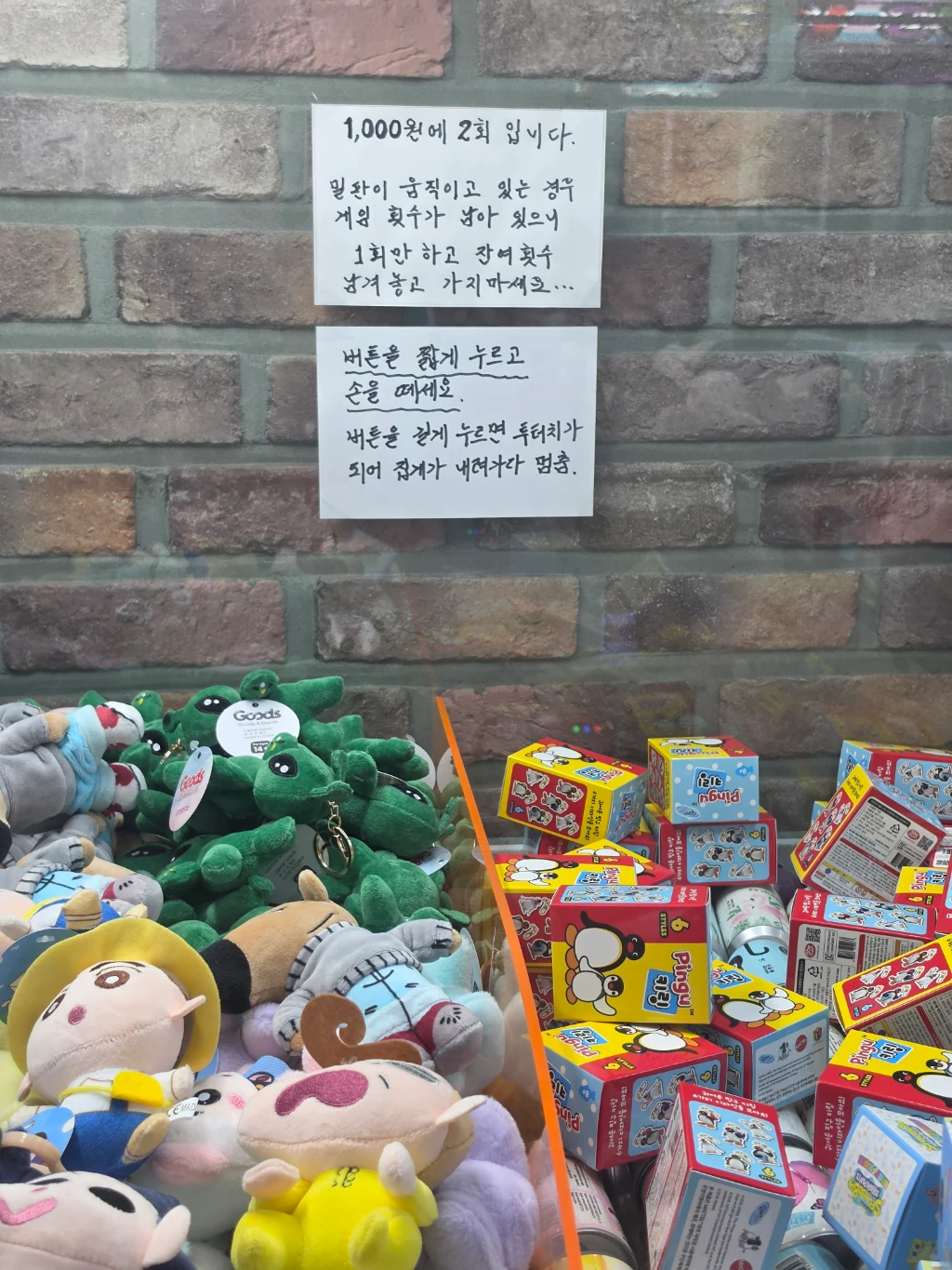 뽀꼬뽀꼬 방문 후기 사진