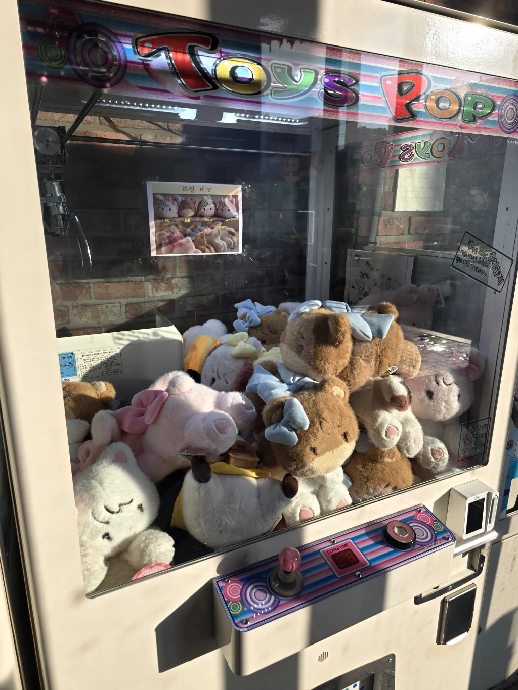 뽀꼬뽀꼬 사용자 등록 사진