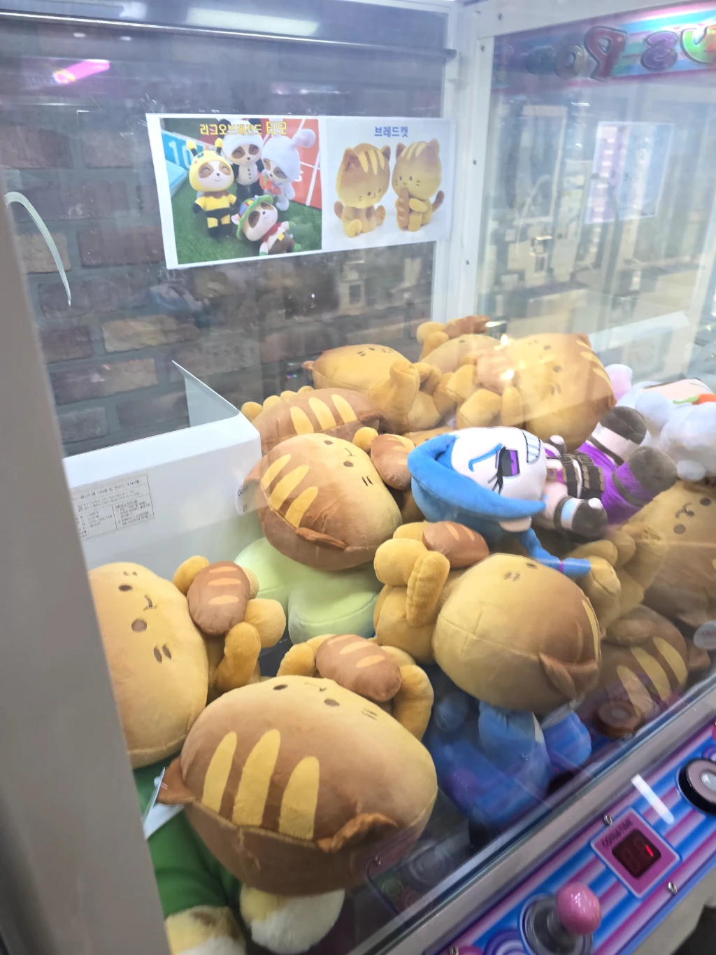 뽀꼬뽀꼬 사용자 등록 사진