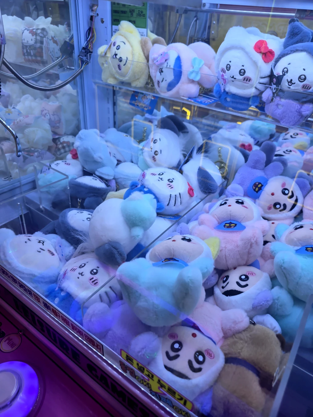 팡팡오락실 사용자 등록 사진