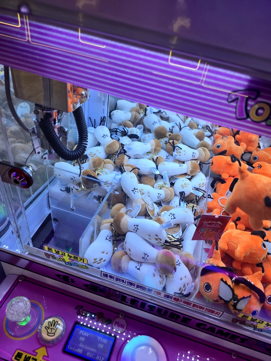 팡팡오락실 사용자 등록 사진
