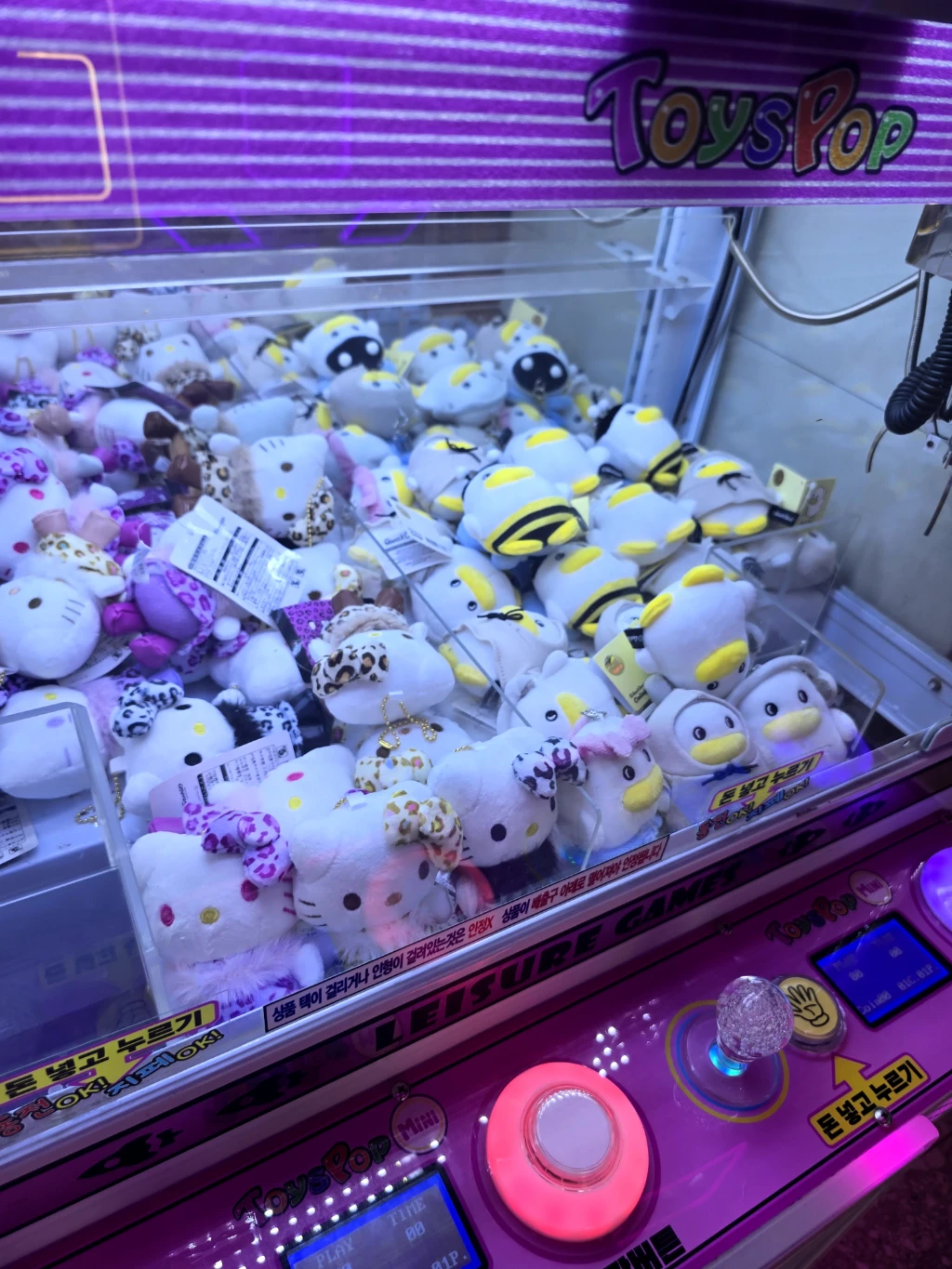 팡팡오락실 사용자 등록 사진