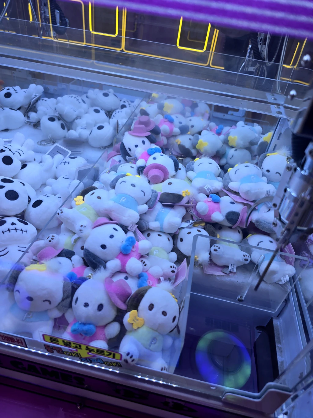 팡팡오락실 사용자 등록 사진