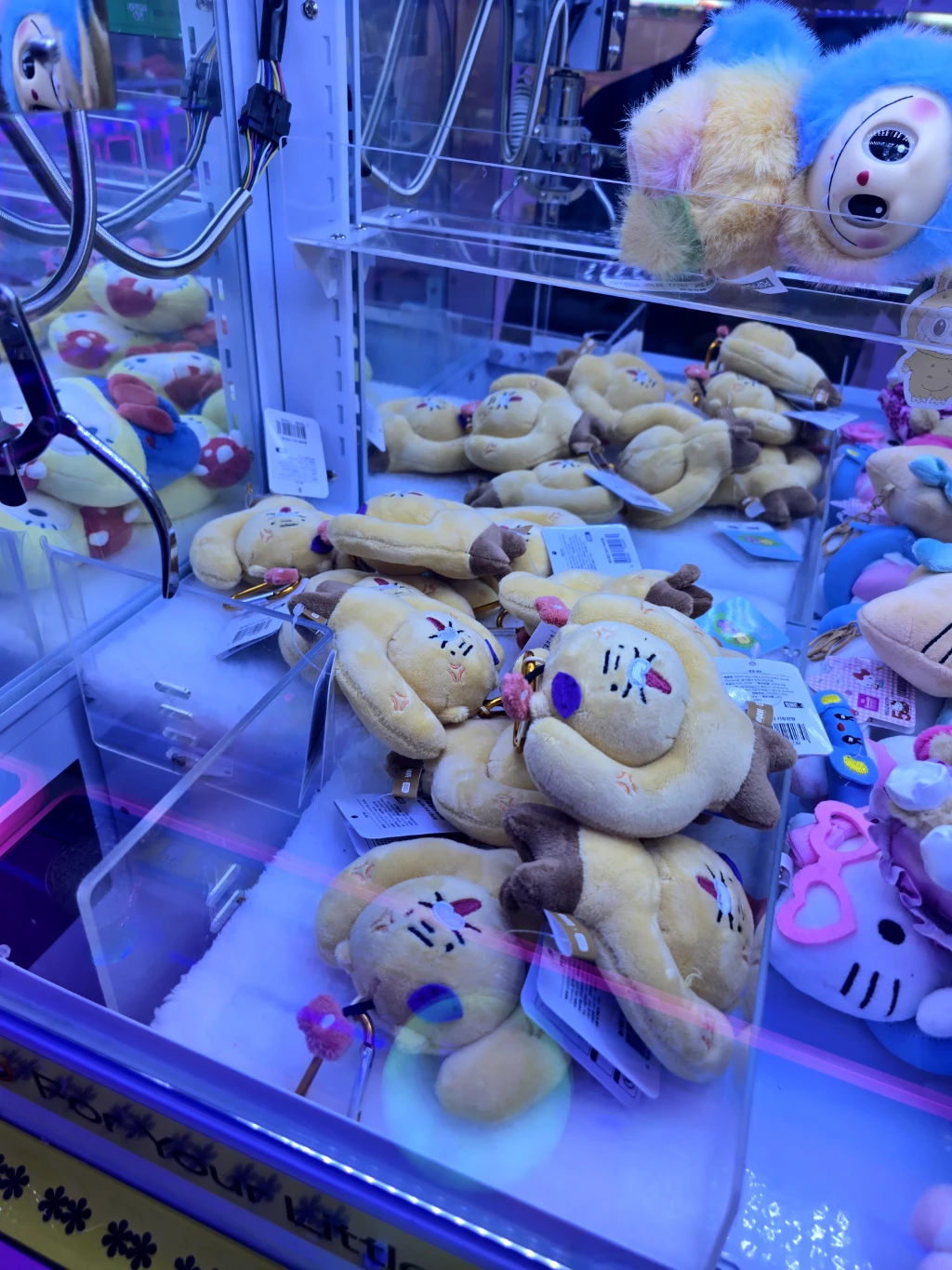굿뽑기 사용자 등록 사진