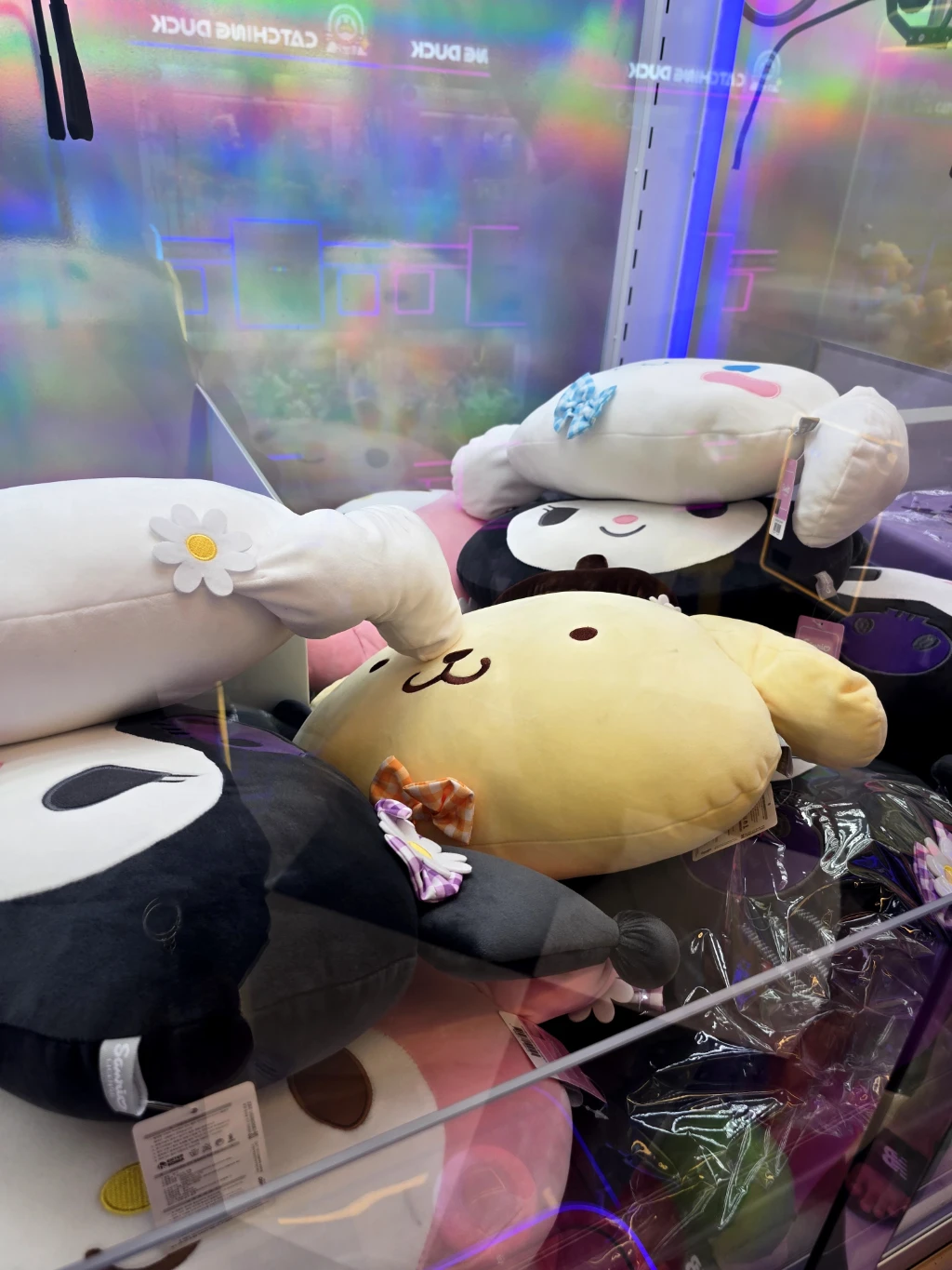 킹오락실 사용자 등록 사진