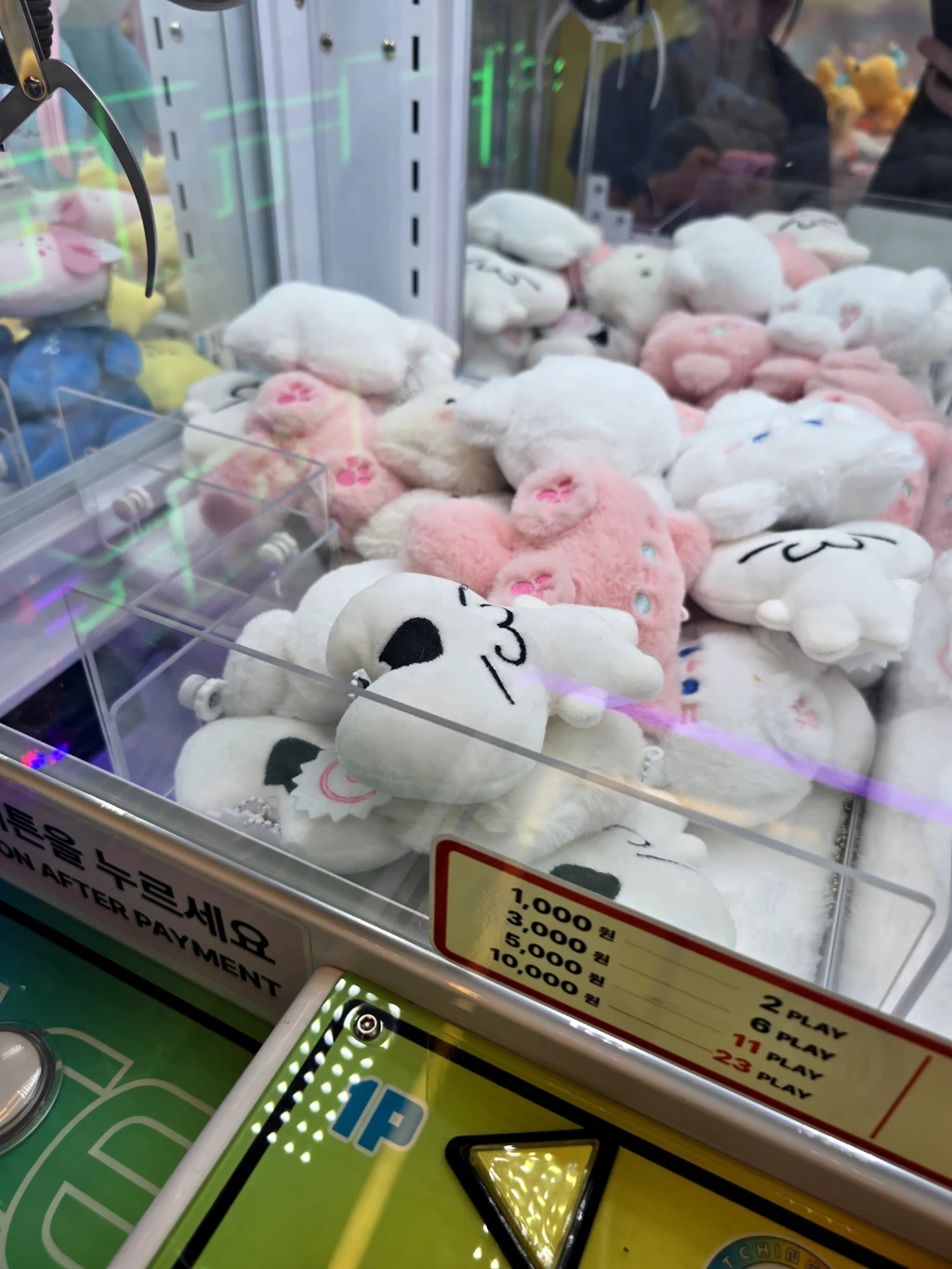 킹오락실 사용자 등록 사진