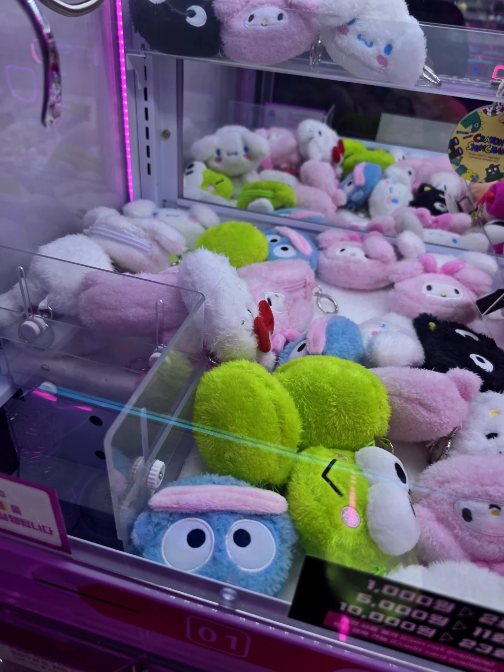 킹오락실 사용자 등록 사진