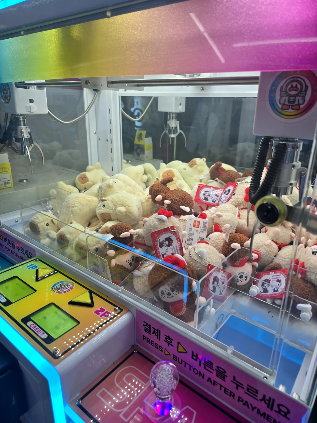 오락 사용자 등록 사진