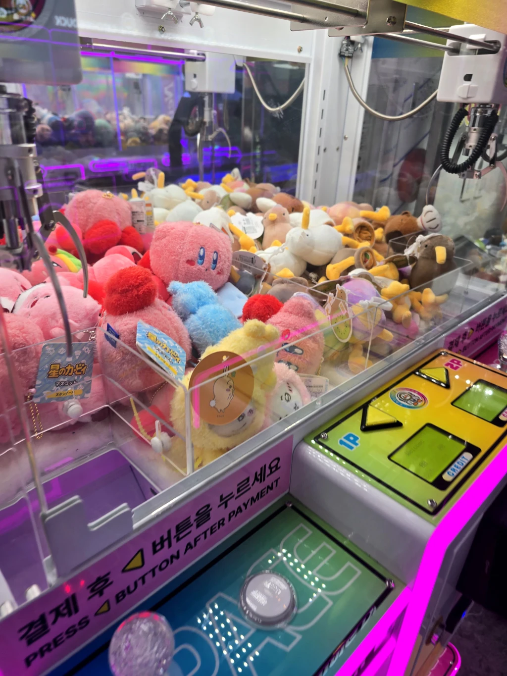 오락 사용자 등록 사진