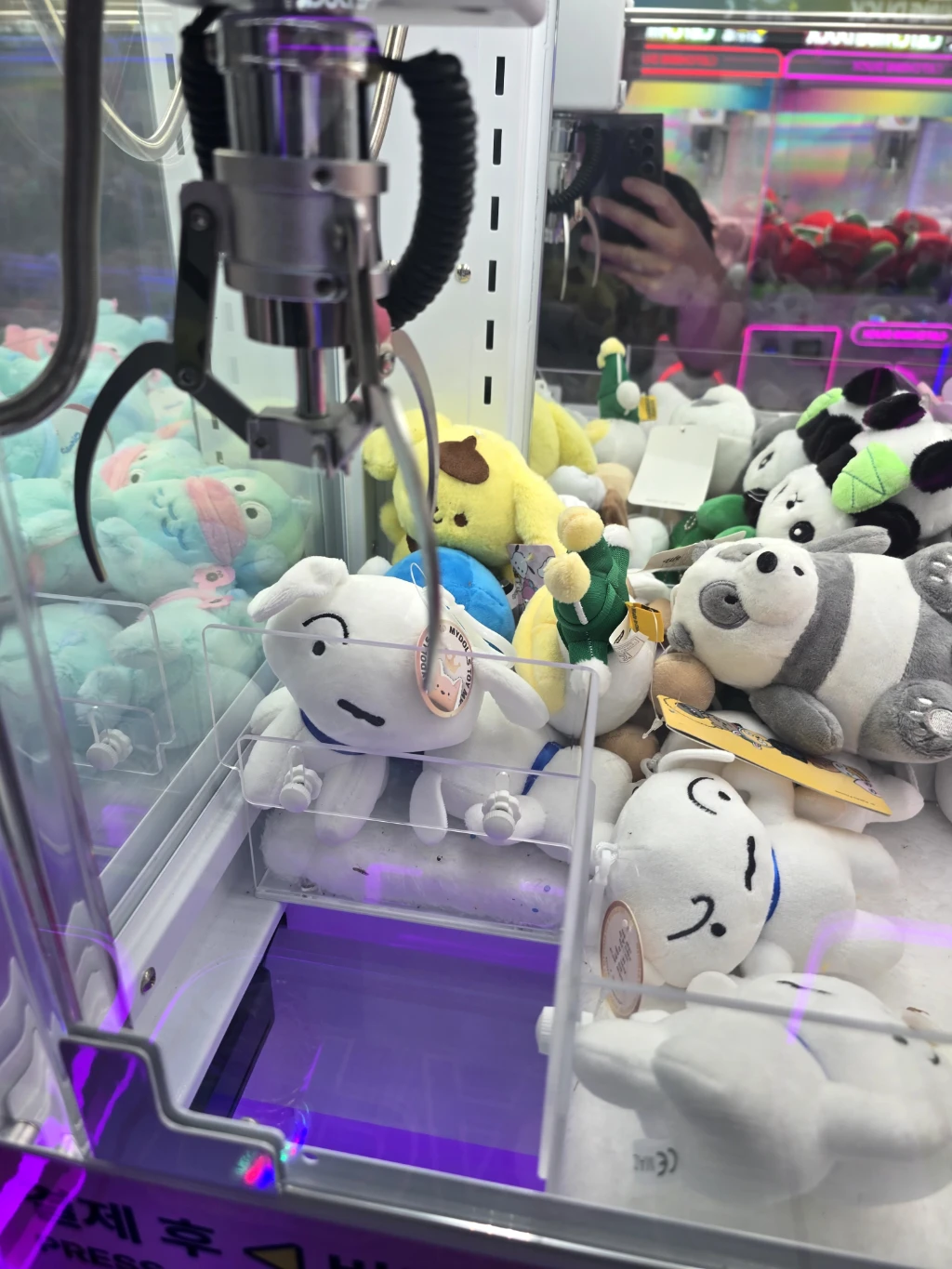 오락 사용자 등록 사진
