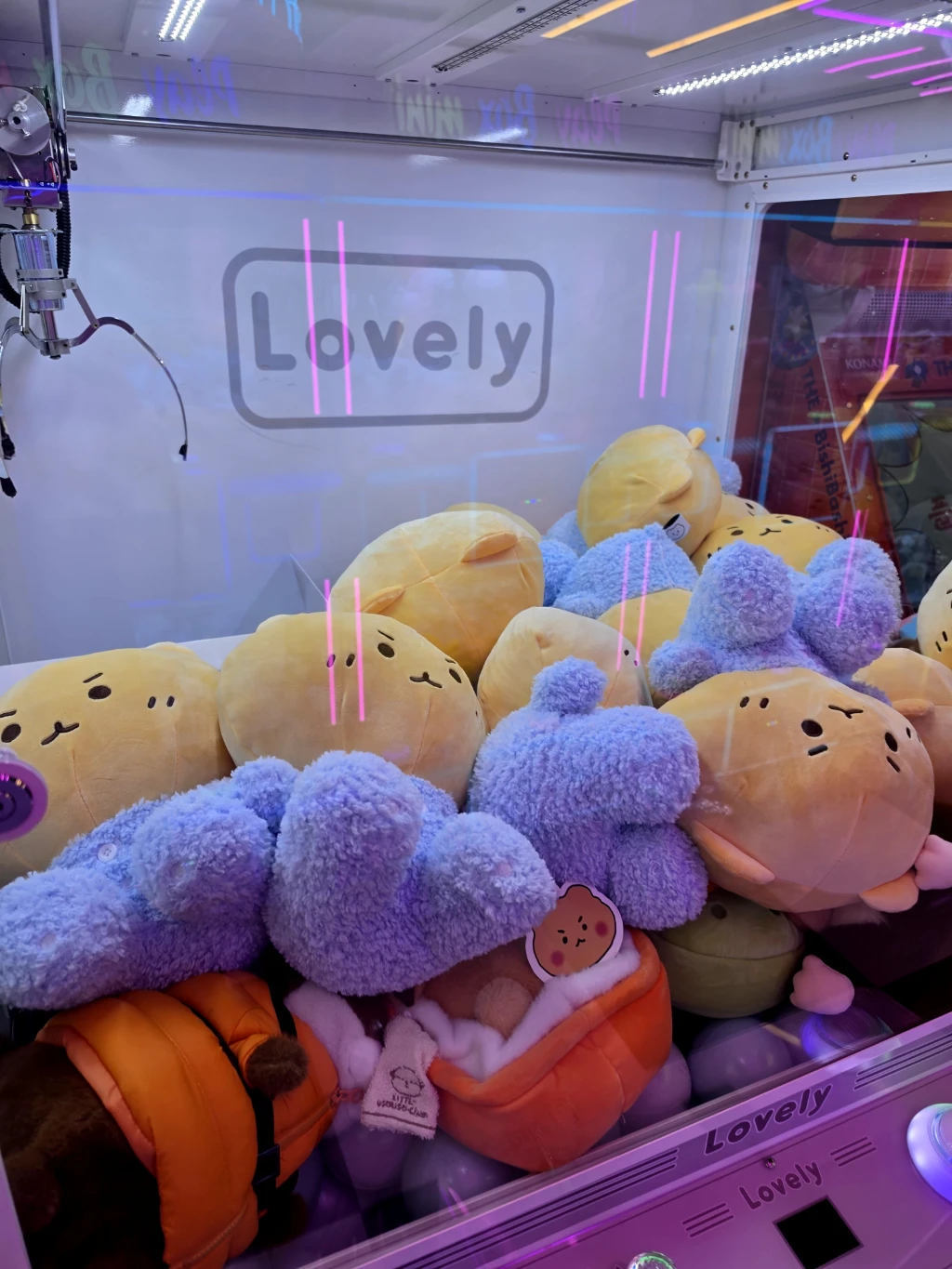 토이스토리 천안 신방점 사용자 등록 사진