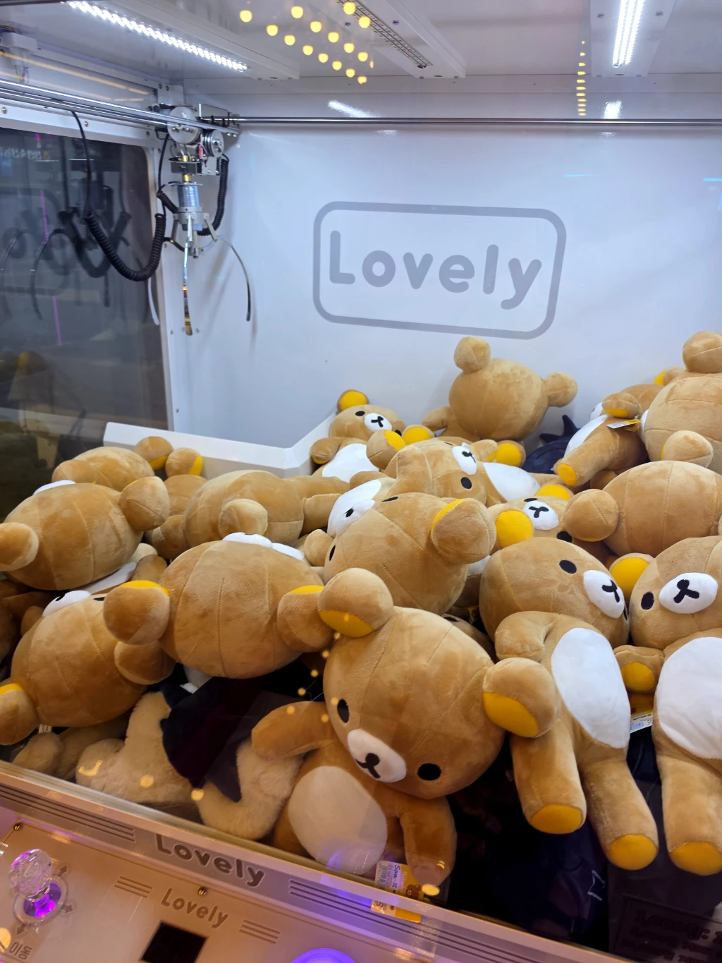 토이스토리 천안 신방점 사용자 등록 사진