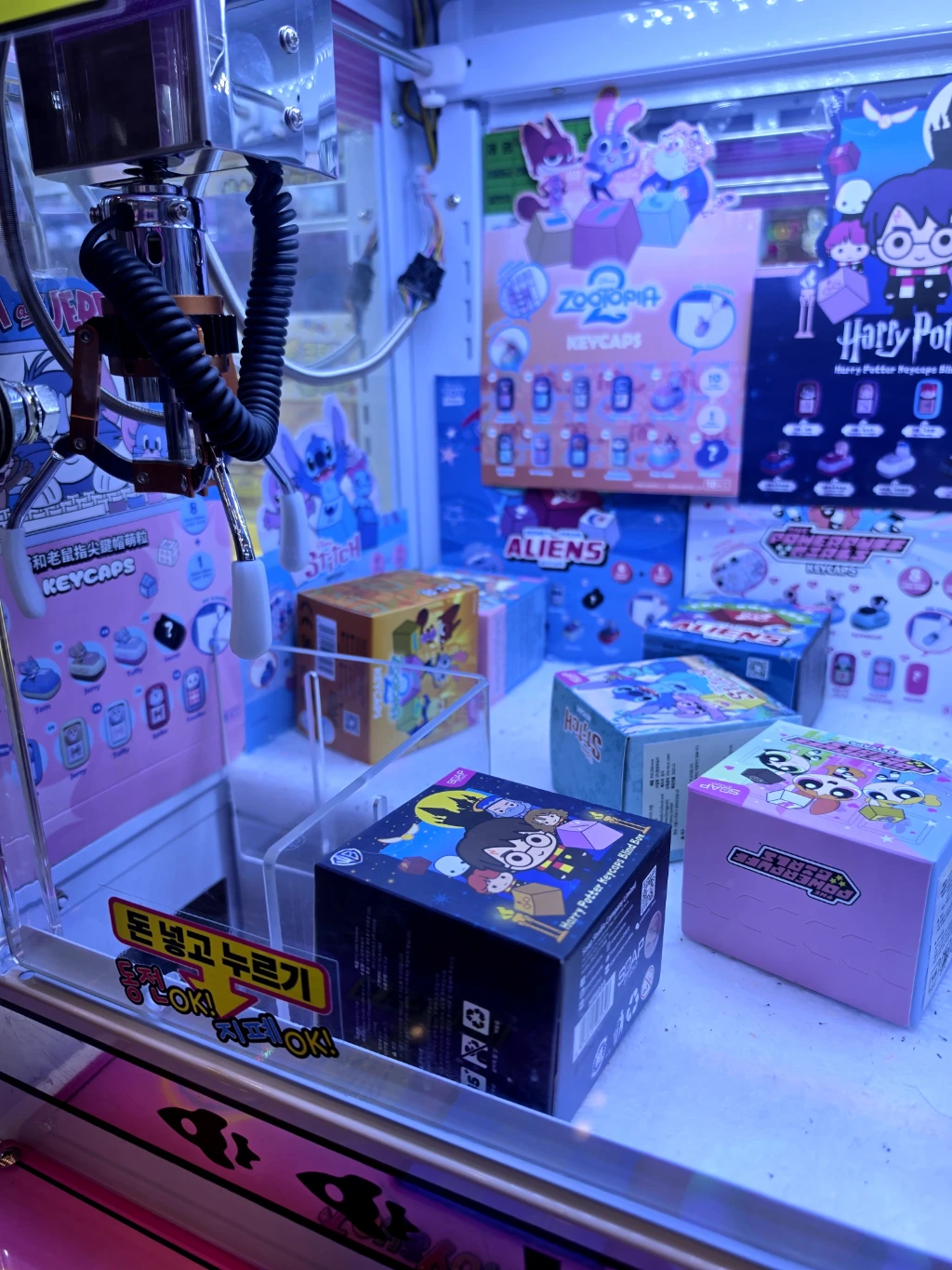 퍼니팝 퍼니팝 사용자 등록 사진
