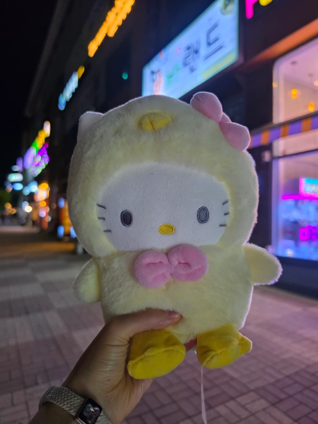 뽀바랜드 방문 후기 사진