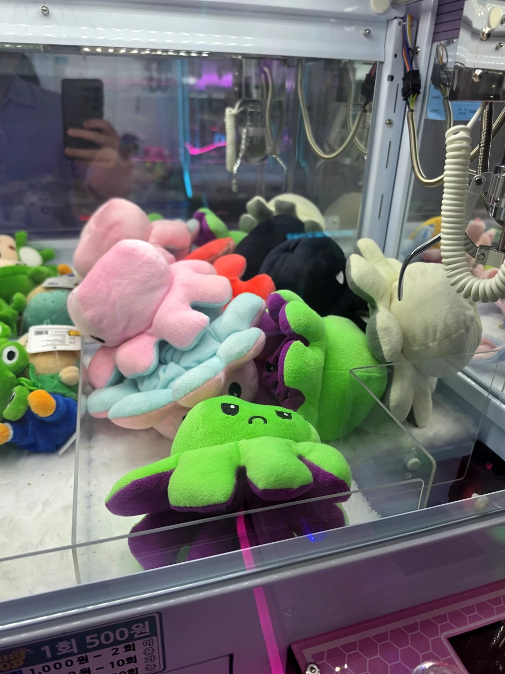 뽀꼬또뽀꼬 인형뽑기방 사용자 등록 사진