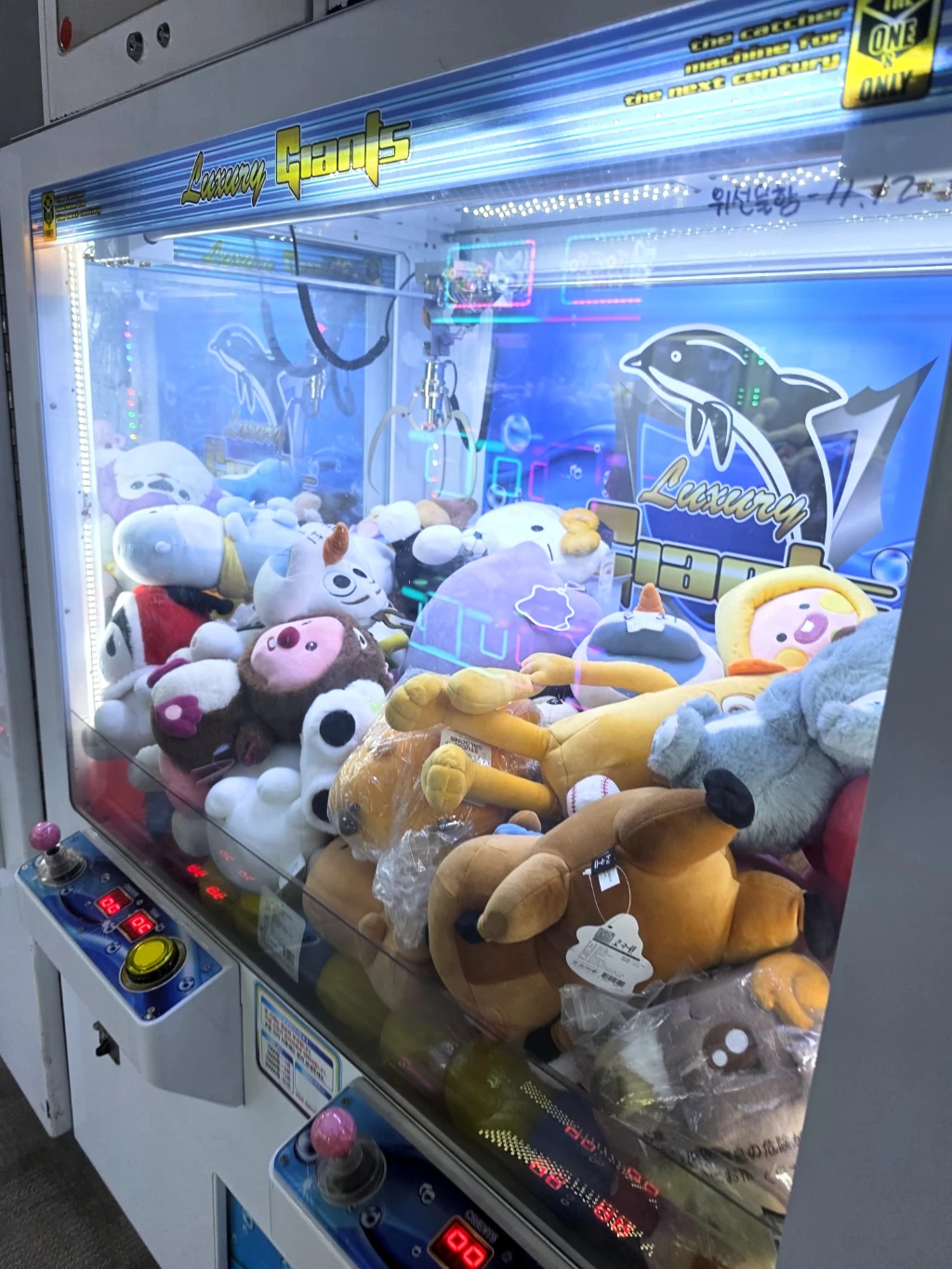 뽑스 사용자 등록 사진