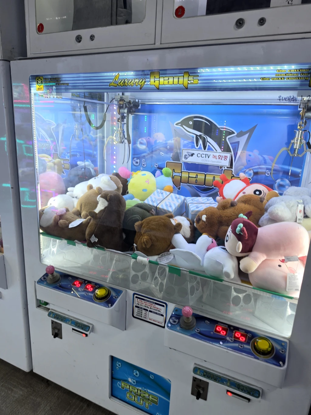 뽑스 사용자 등록 사진