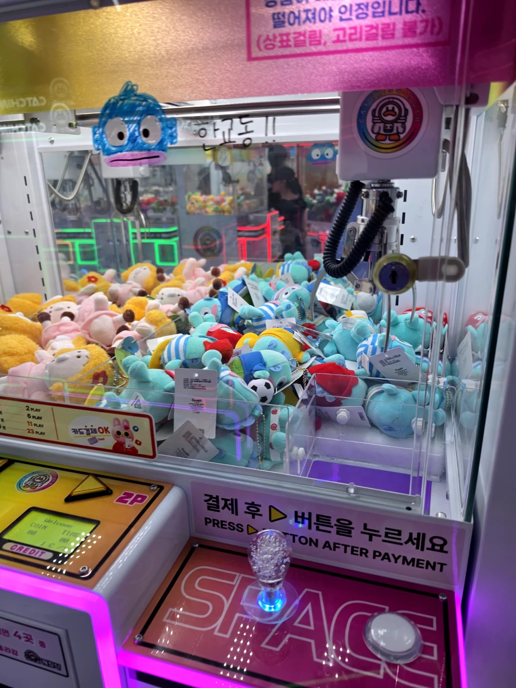 왕오락실 사용자 등록 사진