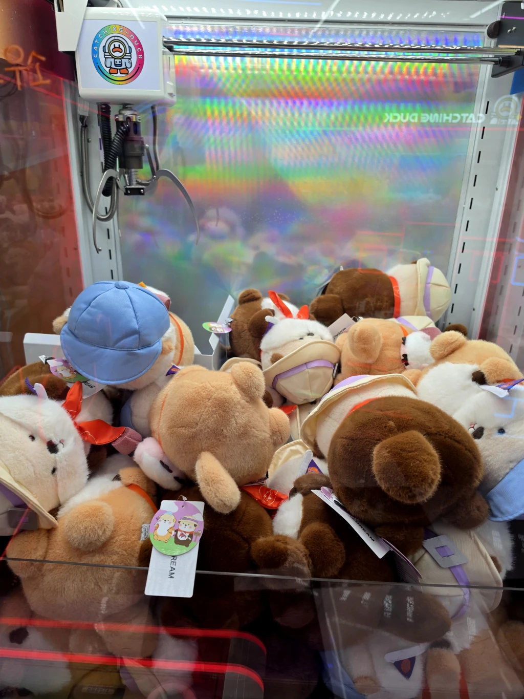 왕오락실 사용자 등록 사진