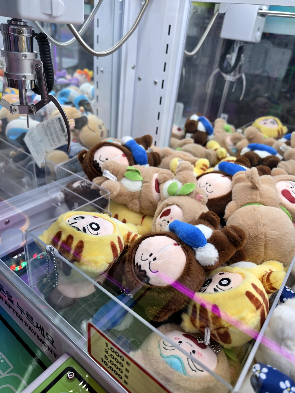 왕오락실 사용자 등록 사진