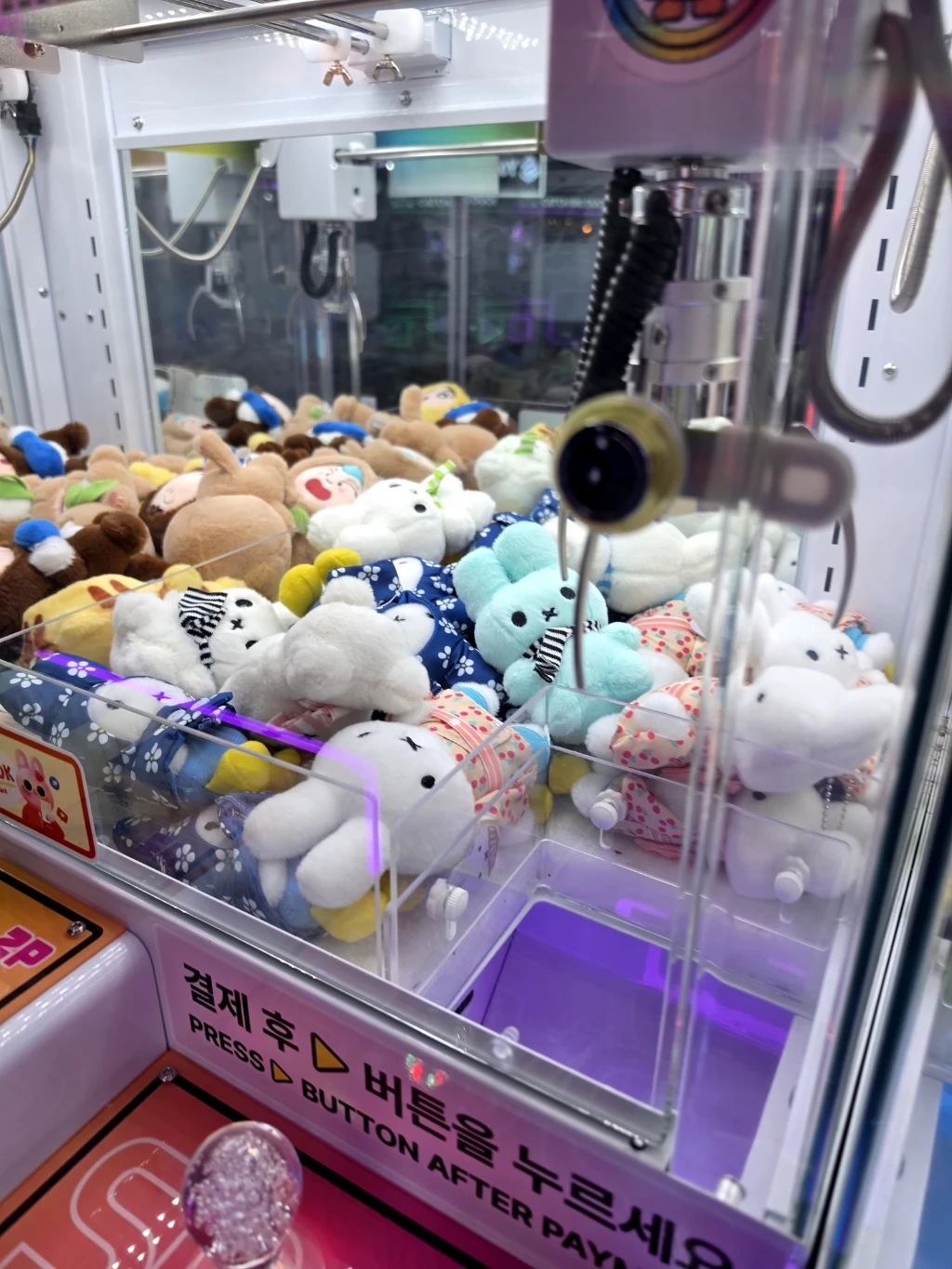 왕오락실 사용자 등록 사진