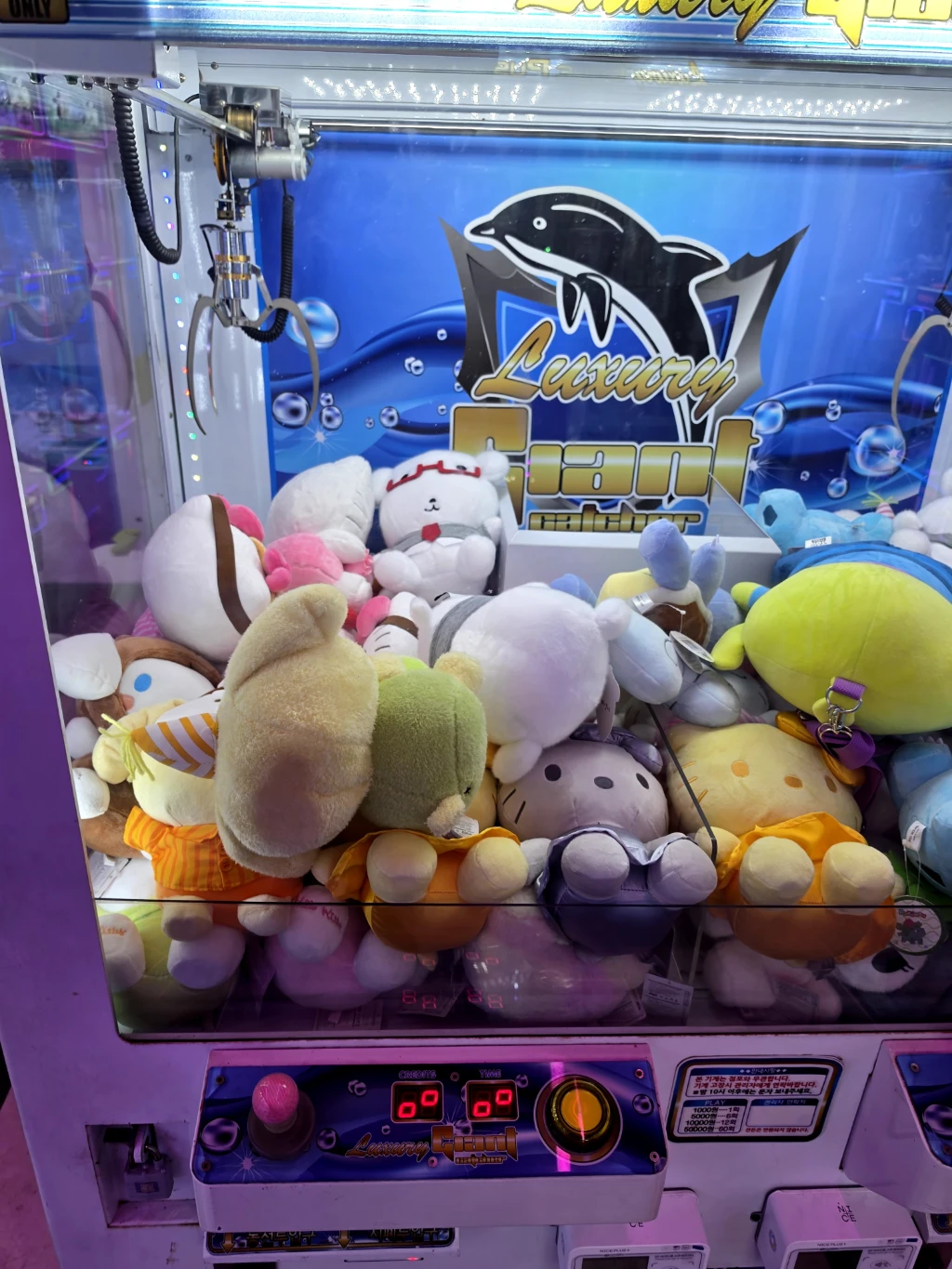 토이스토리 사용자 등록 사진