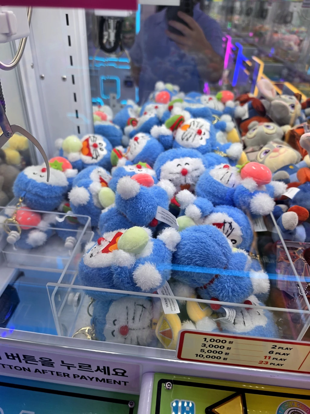 코코랜드 사용자 등록 사진