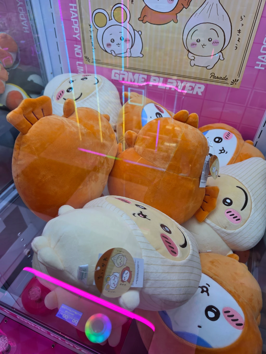 원더랜드 둔산점 방문 후기 사진 2