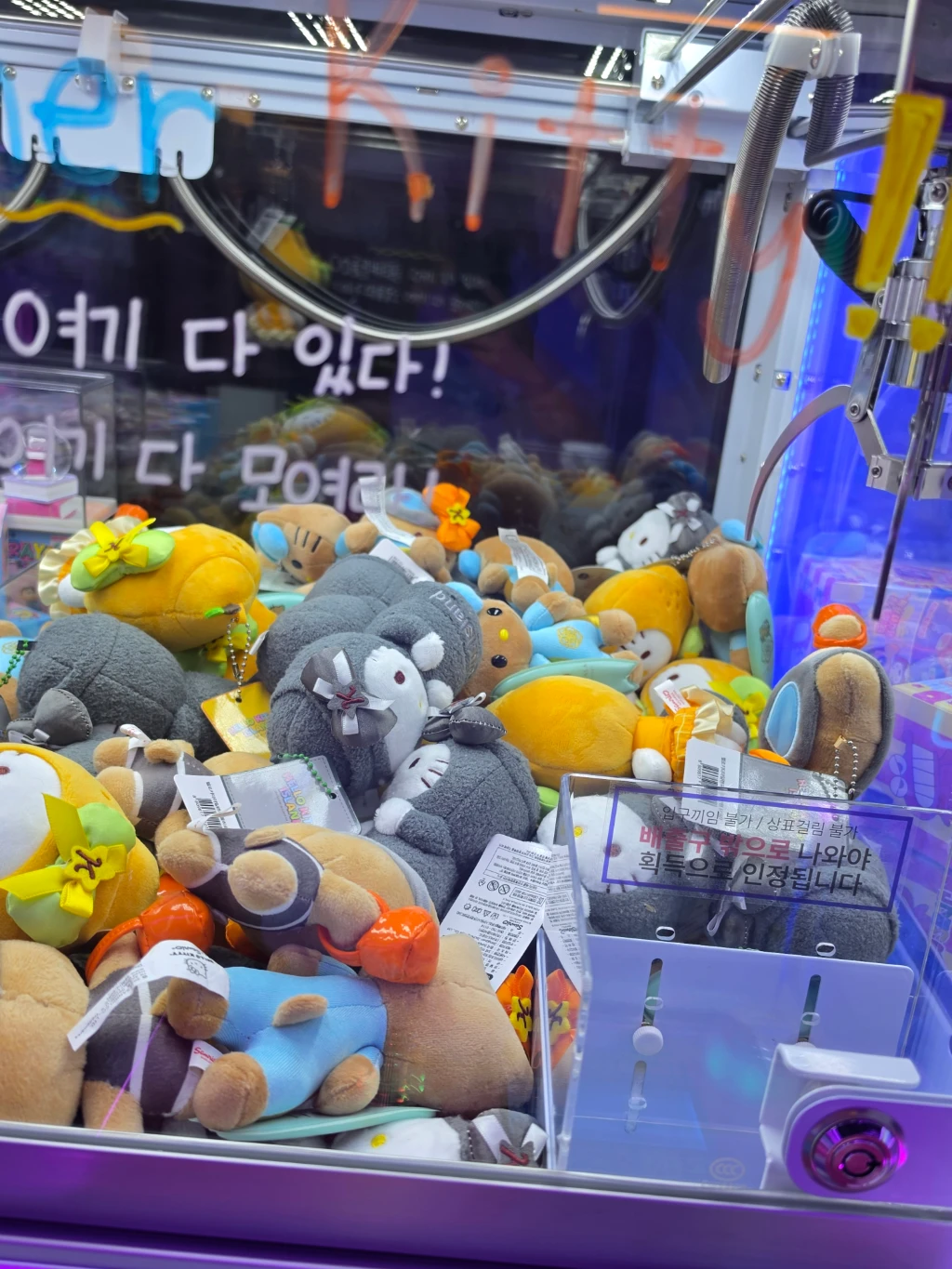 스티커즈 대전둔산점 사용자 등록 사진